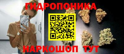 jwh Краснодар